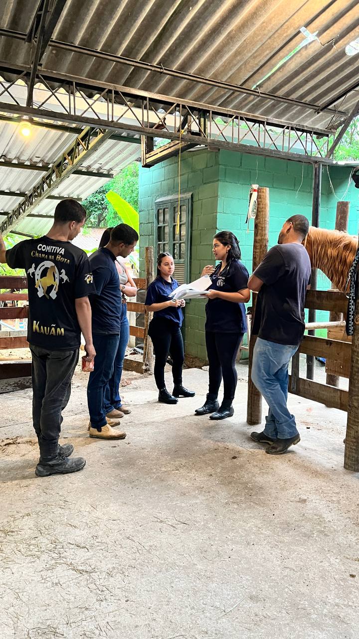Mãos cuidando de um cavalo